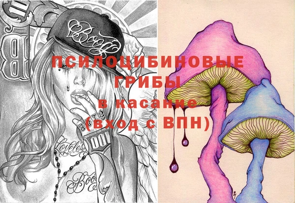 ПСИЛОЦИБИНОВЫЕ ГРИБЫ Абинск