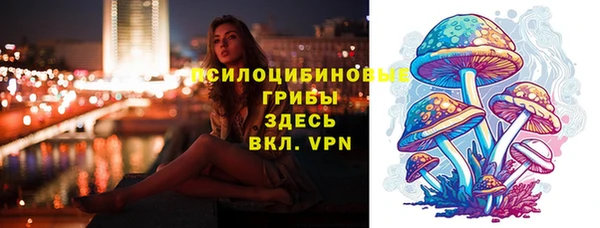СК Абаза