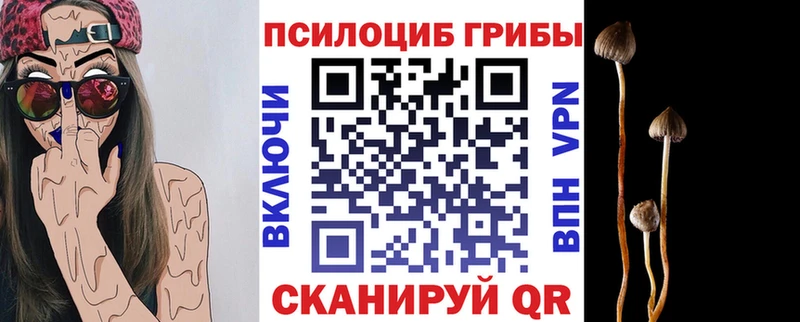 купить наркотики цена  Грозный  Псилоцибиновые грибы MAGIC MUSHROOMS 